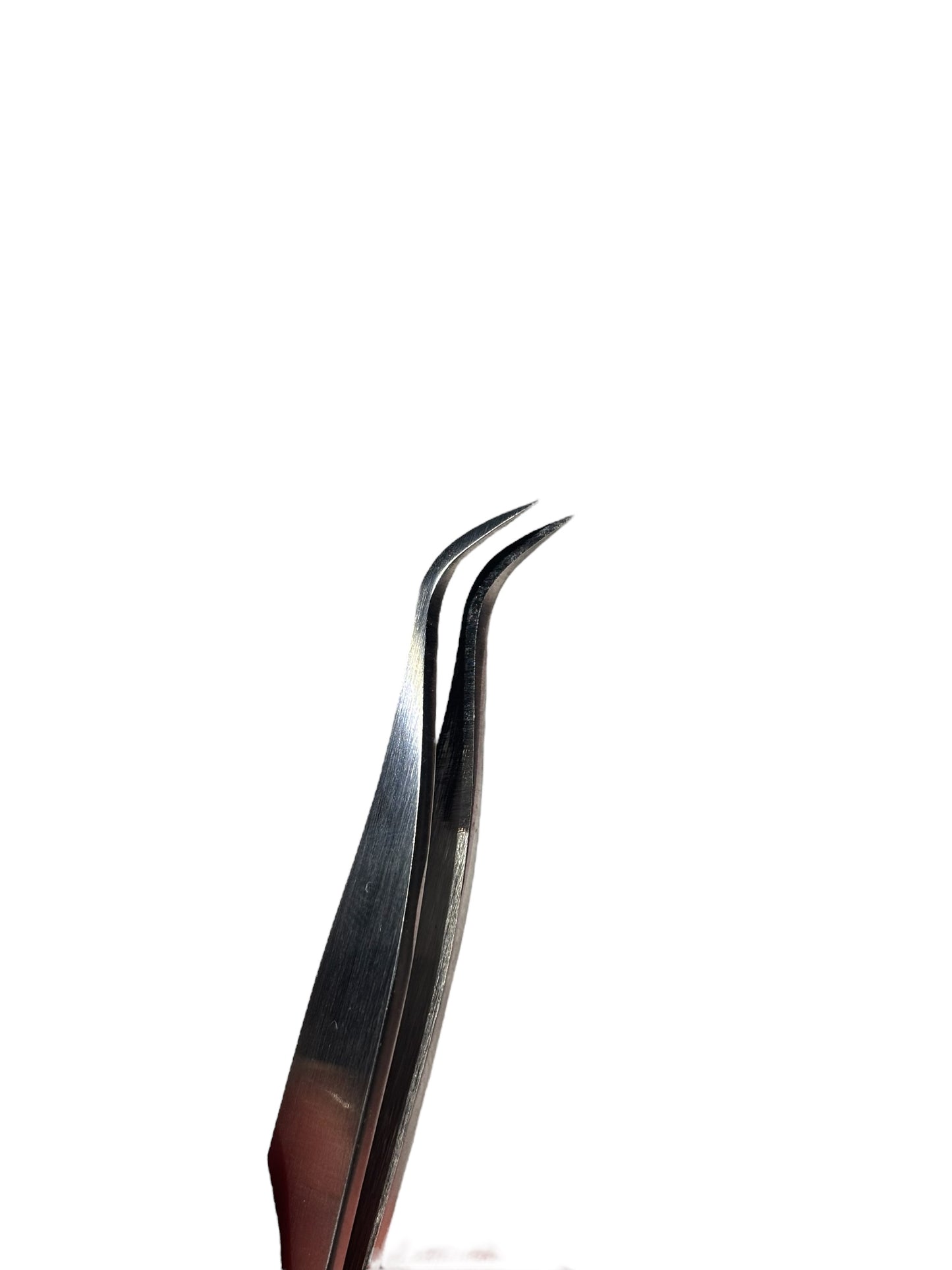 La Reina – Silver Claws Collection